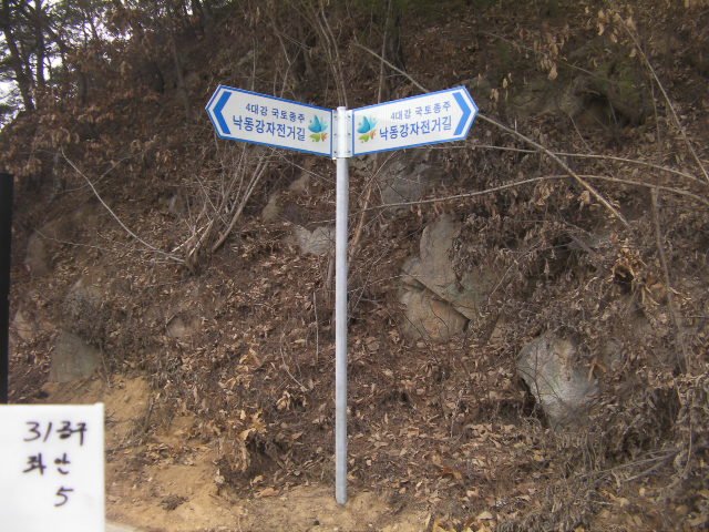 산지 절개지 옆 경사면에 시인성을 극대화하여 설치된 안내표지판