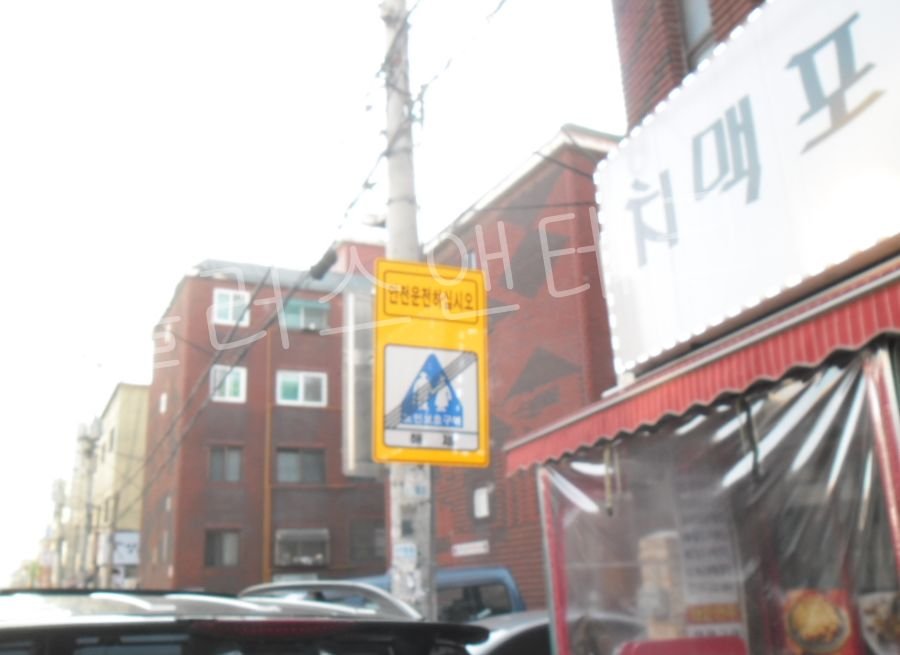 구도심 주택가 이면도로에서 보행자의 안전을 위해 진행 중인 실버존 노인보호표지판 설치 사전 현장 점검 모습