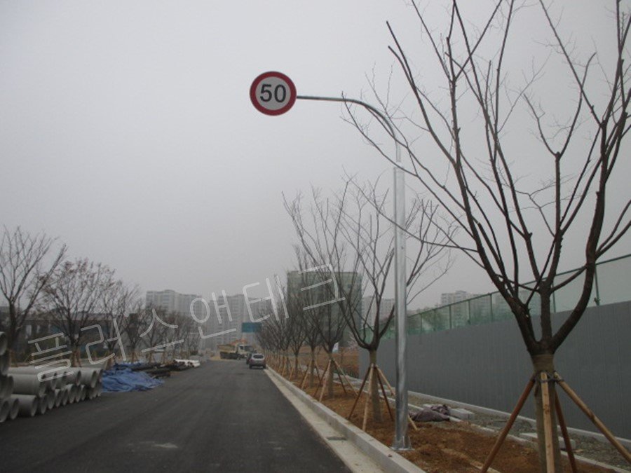 도로변 가로수와 조화를 이루며 설치된 단주 곡선형 지주재와 최고속도 50km/h 제한 규제 표지판이 도로교통법 규격에 맞게 시공된 모습