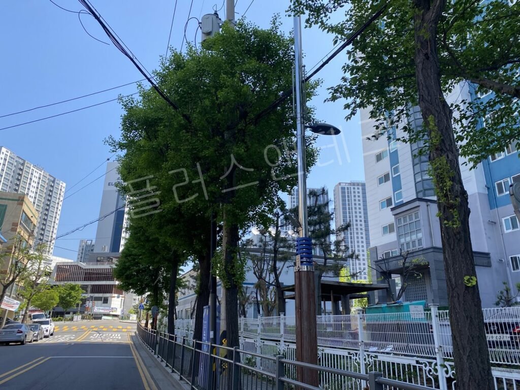 2지점 설치 전, 가로수와 인접한 전주에 표지가 없는 모습