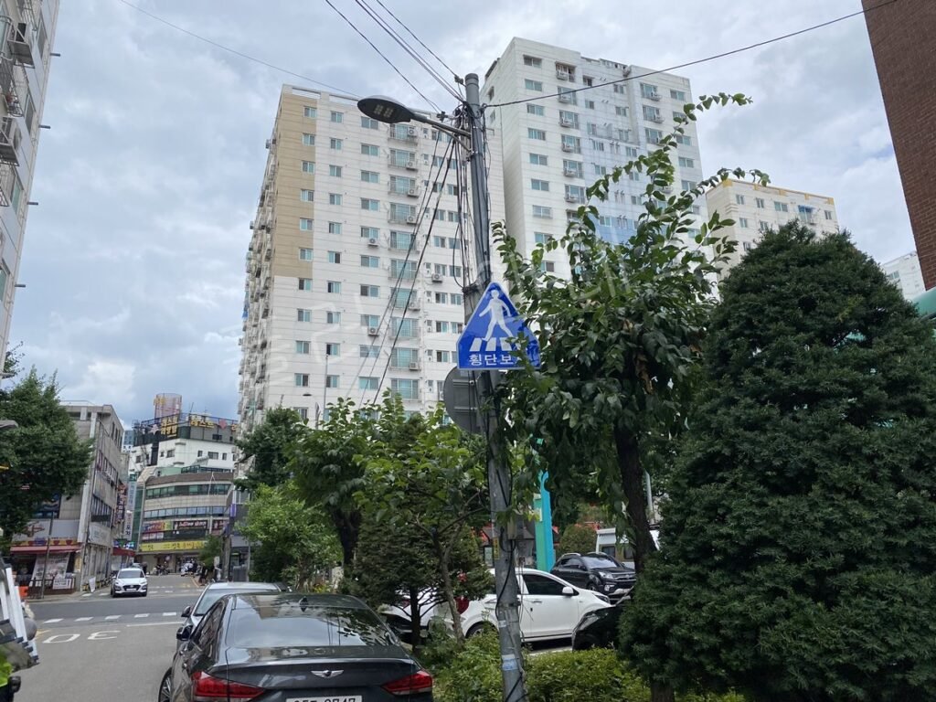 대로변 교차로 코너부 횡단보도 예고 표지판 설치 완료 후 전경