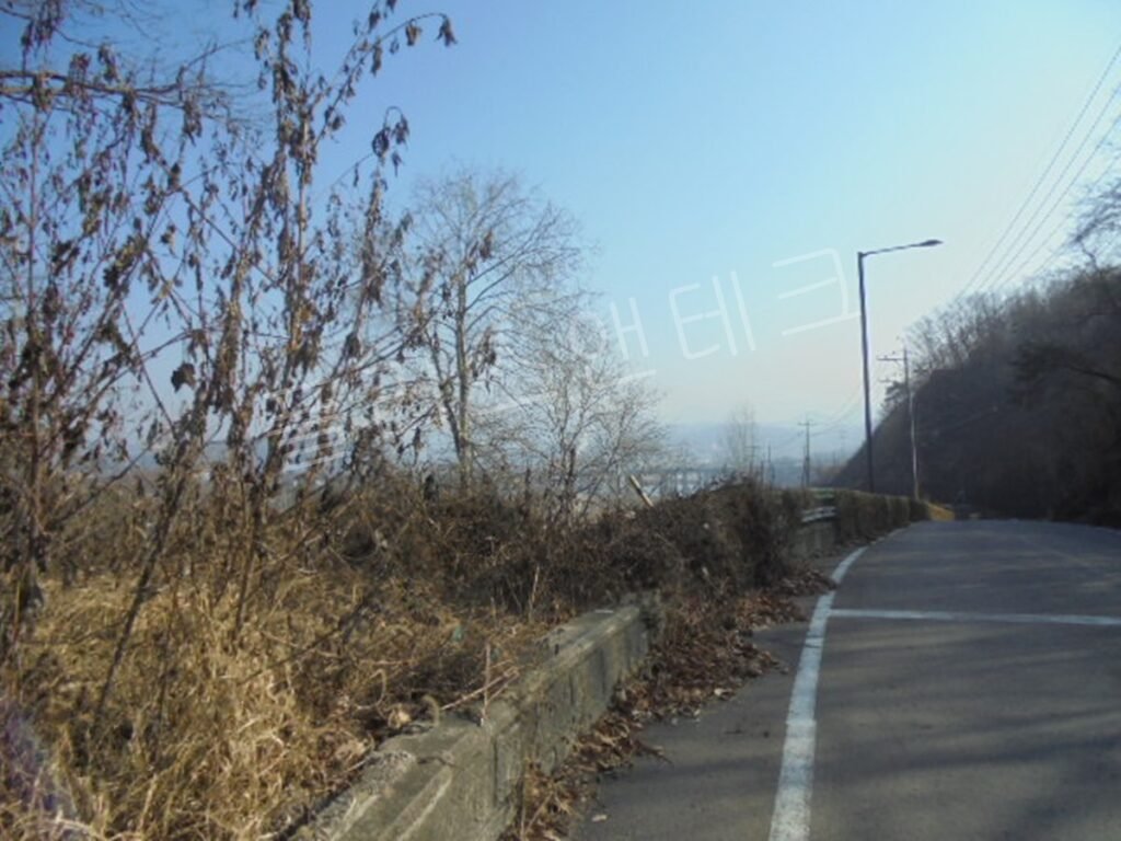 신규 표지판 설치를 위해 도로 우측 경사면의 덤불과 잡목을 제거하고 부지를 평탄화하는 기초 작업 현장
